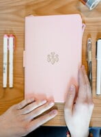 Kelsey Light Pink Gold Feather Kelsey Light Pink Gold Feather